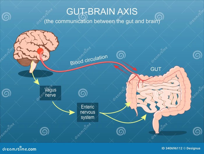 Nourish Your Gut: 5 Superfoods for a Healthier Digestive System - AskMeAll