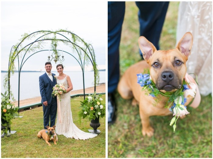 Pets at Weddings: Incorporating Furry Friends into Your Big Day – Knot ... Pet-Centric Design: Integrating Furry Friends into Your Home Decor